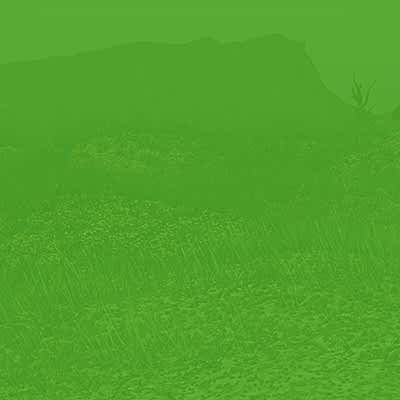 InnoGames